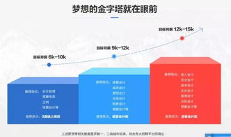 初級拍賣師資格證到手，這些職業(yè)方向等你解鎖！