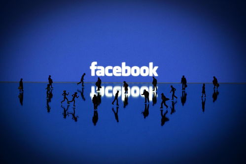 facebook的廣告業(yè)務表現難道只是看上去很美